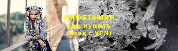 шишки Верхний Тагил