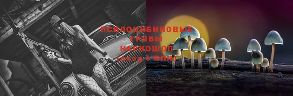 шишки Верхний Тагил