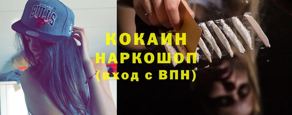 шишки Верхний Тагил