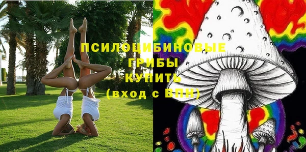 шишки Верхний Тагил