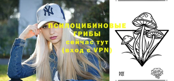 шишки Верхний Тагил