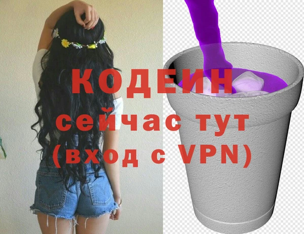 шишки Верхний Тагил