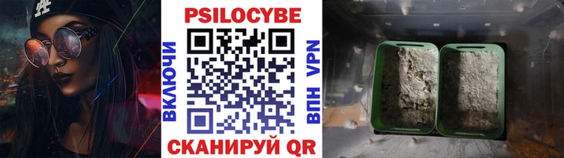 Галлюциногенные грибы прущие грибы  Купить где  Лебедянь 